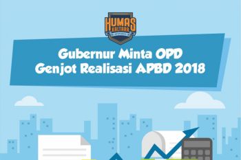 Gubernur Minta OPD Genjot Realisasi APBD 2018