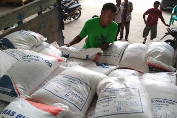 Pemprov segera bangun pasar induk beras di pantura