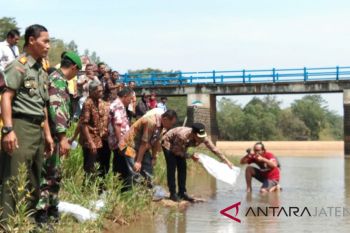 Ratusan ribu bibit ikan ditebar di bendungan Sungai Kramat Batang