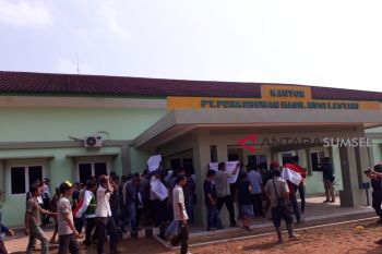 Ratusan masyarakat desa binjai demo PT PHML