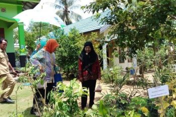 Tabalong nomine nasional tanaman obat desa terpencil