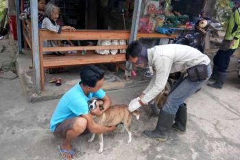 Dinas Peternakan Lampung Selatan vaksinasi rabies