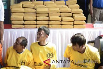 Polisi temukan 341 Kg ganja dalam genset