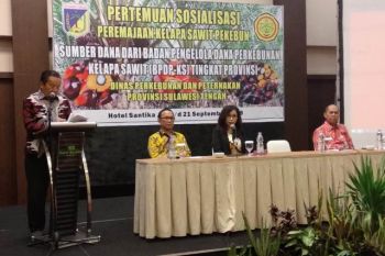 Gubernur: pengembangan kebun sawit harus prioritaskan rakyat