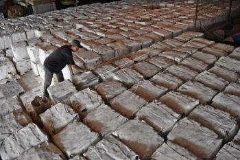 Harga karet turun