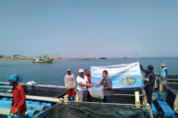 Nelayan Probolinggo Budi Daya Ikan Kerapu dengan Keramba Laut