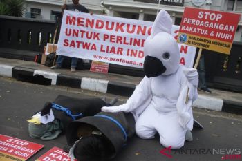 Setop Perdagangan Kakatua