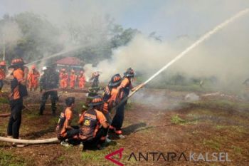 Kebakaran hutan dan lahan di Kalsel capai 1.476 ha