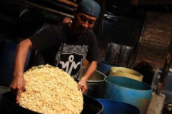 Kenaikan dolar tekan komoditas kedelai di Sumsel