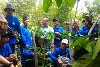 Waykanan-BI kerja sama pelatihan budidaya kopi