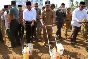 Mentan-PBNU tanam jagung serentak di Lampung