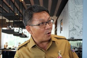 Tinggal 220 ribu hektare kelapa Sulut produktif