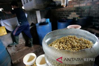 Produsen tempe kurangi produksi akibat pelemahan rupiah