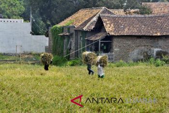 Pesisir Selatan genjot produksi pertanian dengan peningkatan alsintan