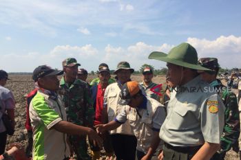 Potensi tanam Banyuasin capai 192 ribu hektar