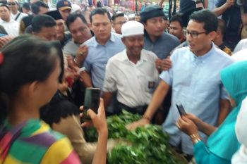 Sandiaga pahami kader Demokrat dukung Jokowi