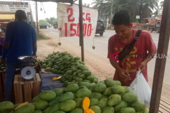 Mangga Indramayu ramaikan pasar buah di Palembang