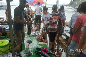 Harga ikan cakalang di Jayapura mencapai Rp170.000/ekor