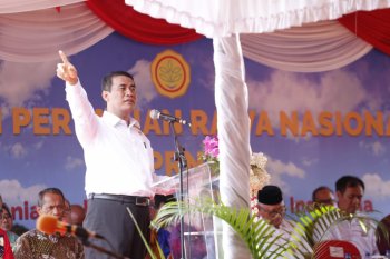 Government to optimize swamp land use for agriculture: Minister