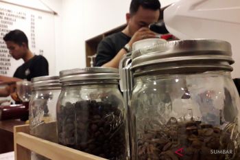Permintaan tinggi, sayang pengembangan kopi Arabika Solok terkendala luas lahan