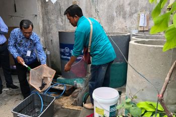 Warga Winongo Yogyakarta panen lele cendol