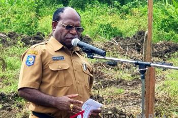 Kemenkes beri penghargaan SKDR kepada Dinkes Papua