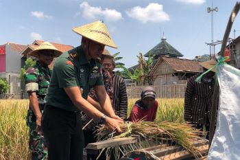 Luas lahan pertanian Yogyakarta terancam berkurang