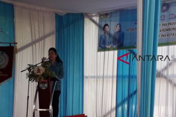 Ketua TP-PKK Sumsel apresiasi karya khas Linggau