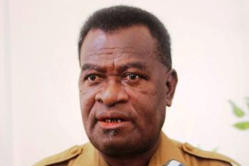 Dishut Papua segera lelang ratusan kayu pacakan