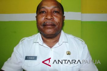 Pemprov Papua minta Freeport selesaikan permasalahan karyawan