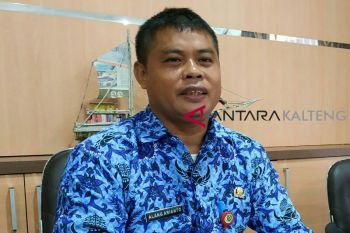 Ini jumlah terkini pelamar CPNS Kotim, ada berkas tidak sesuai