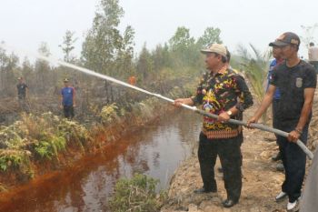 Asap kebakaran lahan mulai selimuti Pulang Pisau
