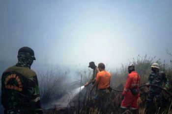 Ini langkah Dinas Kesehatan Pulang Pisau jika kabut asap makin parah
