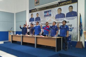 Demokrat targetkan dua kursi per dapil