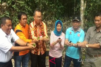 Disita di Surabaya, puluhan burung ini dikembalikan ke hutan Kobar