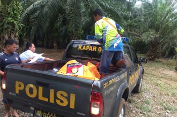 Jasad seorang laki-laki hanyut saat banjir landa Pasaman Barat