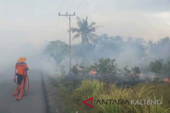 Hujan meningkat, Kobar masih dilanda kebakaran lahan