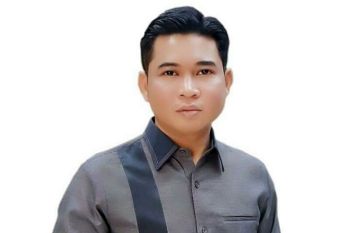 Ketua DPRD menilai Dewan Pengawas RSUD dr Murjani tidak profesional