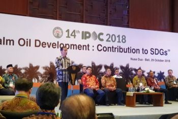 Jokowi:  sektor kelapa sawit membanggakan