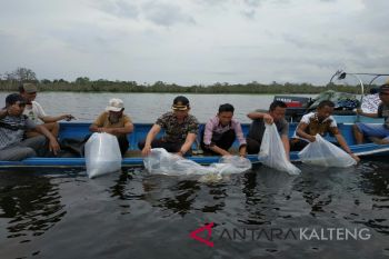 Seruyan kembali tebar puluhan ribu benih ikan di sungai
