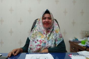 279 Berkas CPNS Pariaman Tidak Lulus Administrasi