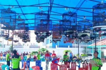 Ini komitmen Bupati Solok Selatan untuk kegiatan yang menunjang pariwisata