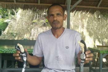 Gagang pisau berukir jadi tren peburu di Padang Pariaman