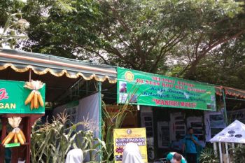 Pameran teknologi pertanian diadakan di Bantul