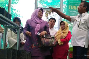 TP PKK: rumah bibit bisa jadi penghasilan kelompok dasawisma