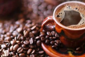 Pemkab Solok beri bantu traktor kepada kelompok tani kopi