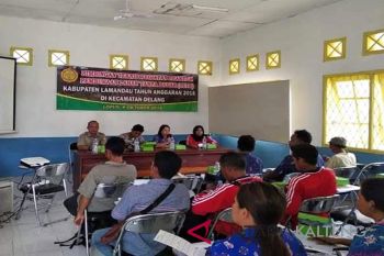 Akibat dilarang bakar lahan produksi padi di Lamandau menurun