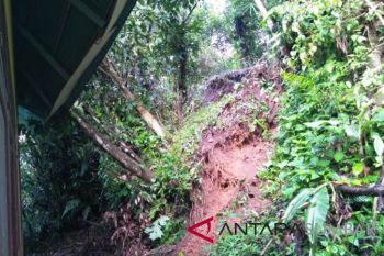 Dua bangunan SDN 25 Sungai Angek Agam tertimpa pohon-longsor