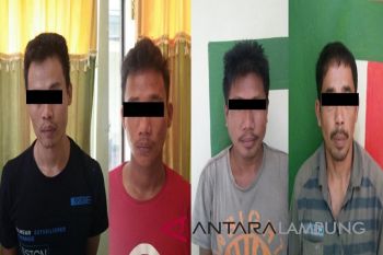 Polisi Waykanan tangkap empat pemuda  pesta narkoba