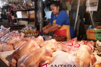Daging ayam lokal lebih mahal dari pasokan luar Papua